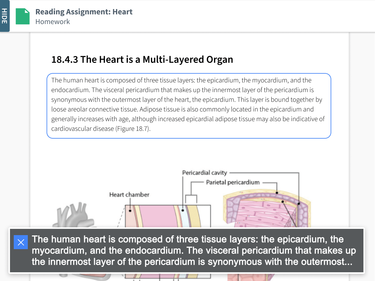 Diagram drawing of a multi-layered heart