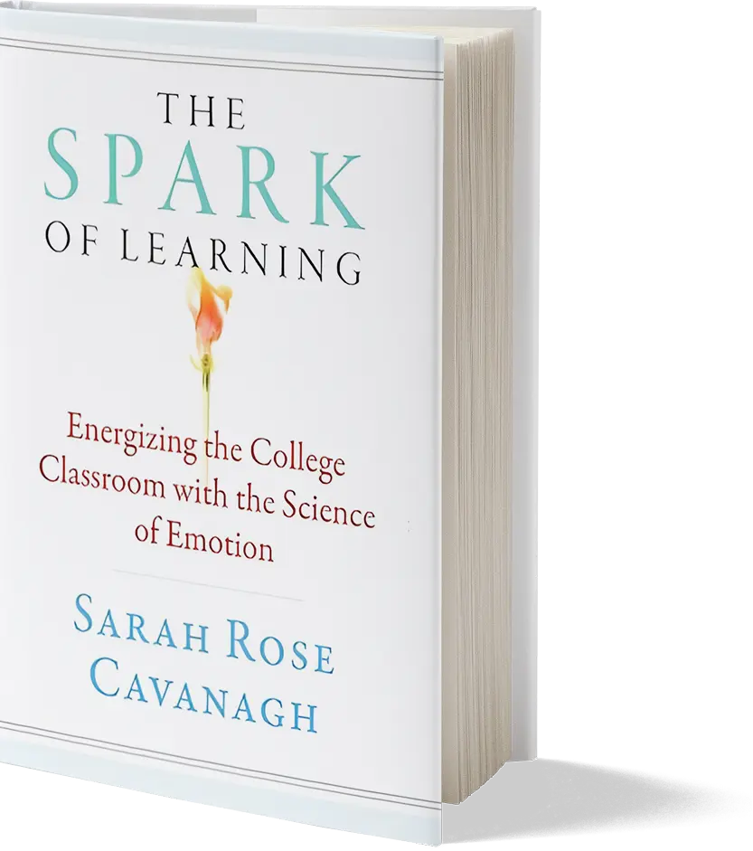 The Spark of Learning Book Image
