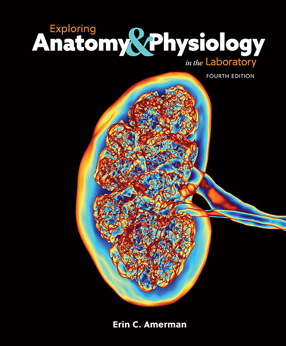 Cover of Exploring Anatomy & Physiology in the Laboratory, 4e