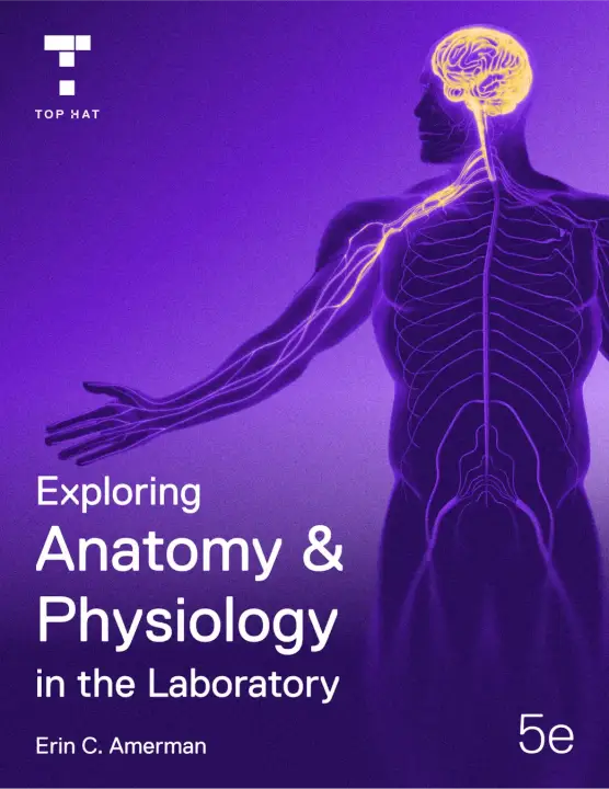 Cover of Exploring Anatomy & Physiology in the Laboratory, 5e