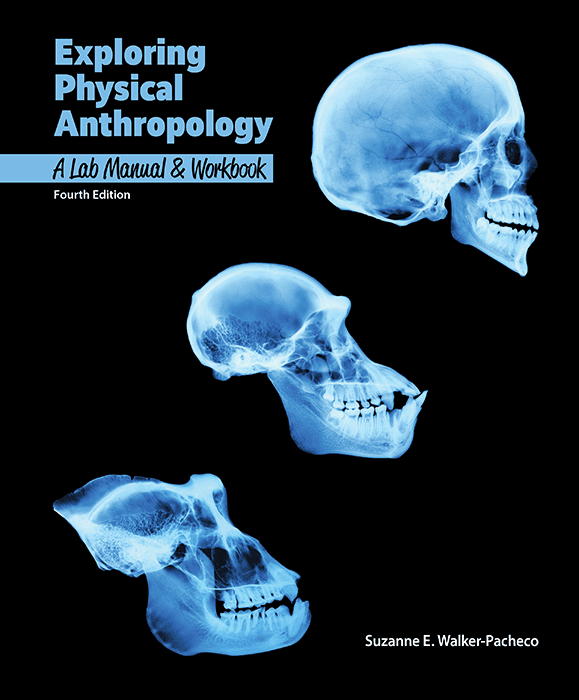 Cover of Exploring Physical Anthropology: Lab Manual and Workbook, 4e