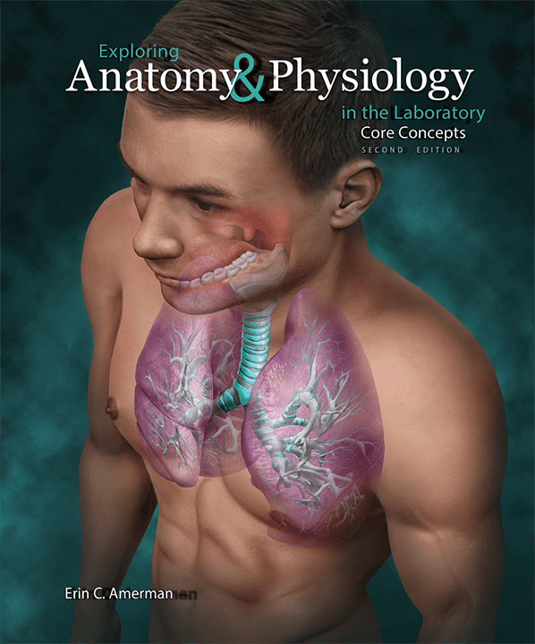 Cover of Exploring Anatomy & Physiology in the Lab: Core Concepts, 2e