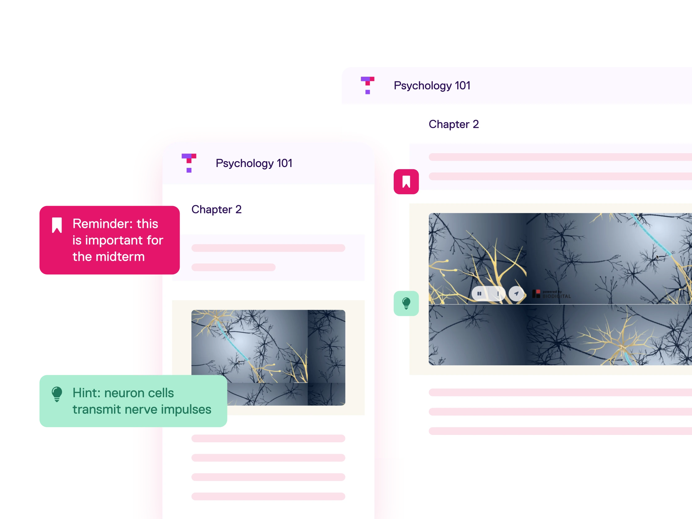 interactive-content