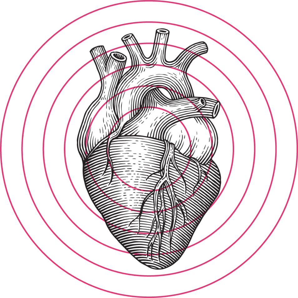 Heart Illustration