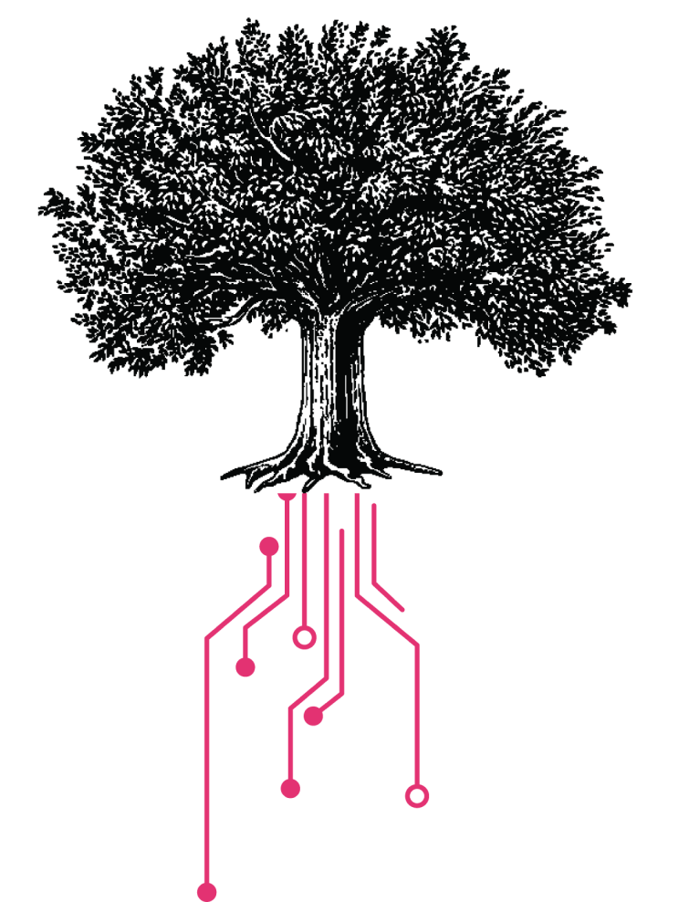 Tree Illustration
