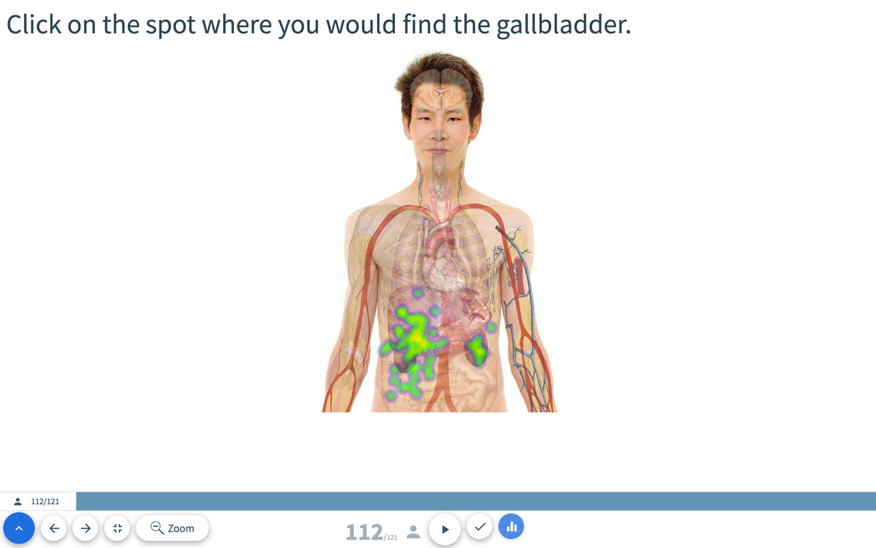 Click on Target: Find the gallbladder