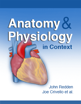 Anatomy and Physiology in Context