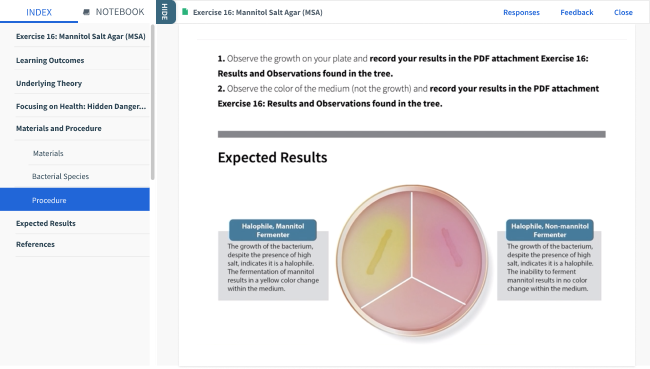 interactive physiology pdf