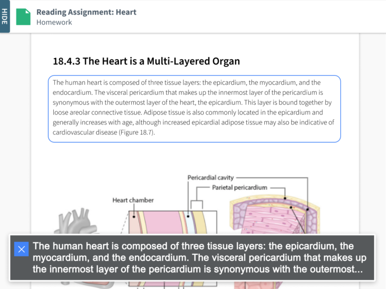 Accessibility at Top Hat Top Hat